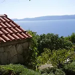 Petar Daire